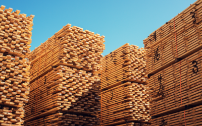 Record Wildfires Impact Lumber Pricing