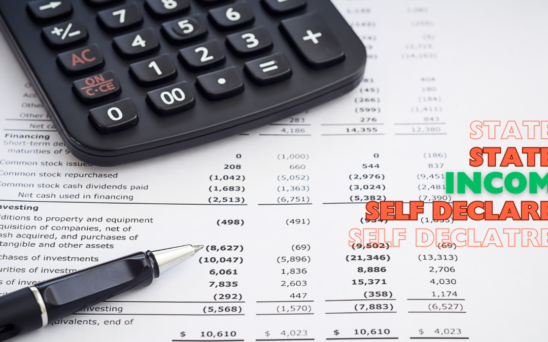 Understanding Stated Income Business Income