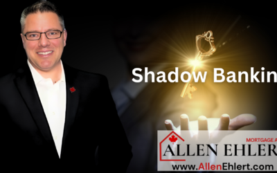 My World of Shadow Banking